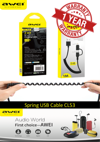 AWEI CL-53 '2 in 1' Charging Cable for iPhone/iPad & Micro USB